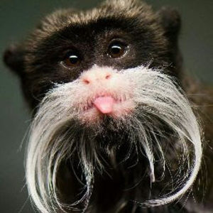 Meet your Posher, Butter